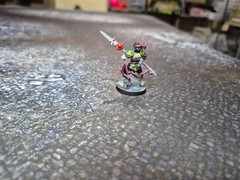 Cmon Games ZOMBICIDE WHITE DEATH Zhao Yun painted with Card DDP PAID!!