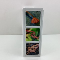 OuiSi Nature Photo Card Game Montessori Homeschool Brain Gym Creative Thinking