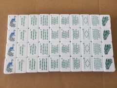 NEW! Vibrant Layered Mahjong Tiles – Full American Set 160Tiles – Dragon Monkey