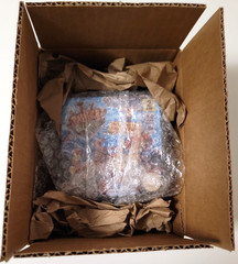 Panic Island 2017, Blue Orange Games, New Unopened