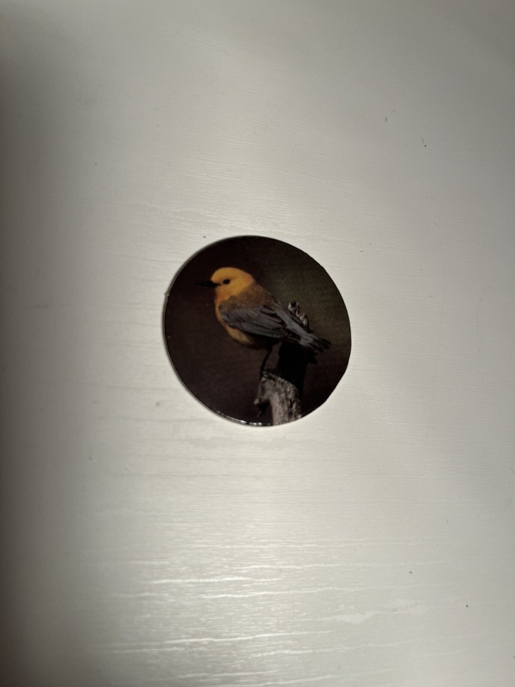 Vntg POG 1990s Yellowhead Bird Mohua New Zealand Fowl Cap Milk Bottle Top HTF