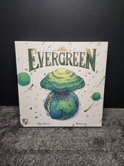 Evergreen Board Game Horrible Guild INCOMPLETE