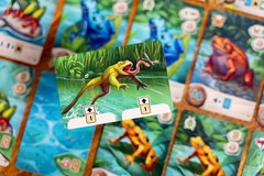 Pondscape + Wooden Frog Promo by Capstone Games – SEALED