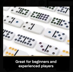 Spin Master Games Cardinal Classics Double Nine Dominoes 55pc Set in Storage Tin