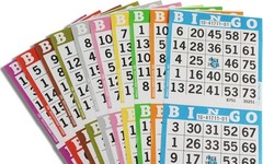 Books – 3 Faces, 10 Pages Each, 100 Disposable Game Books – Bold Dauber Sheets –