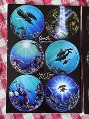 Original 90s 12 Pogs Unpunched Sheet Lot of Two Nature Graphic Apollo Hawaiian