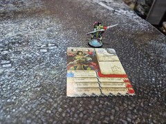 Cmon Games ZOMBICIDE WHITE DEATH Zhao Yun painted with Card DDP PAID!!