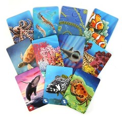 Ecosystem Coral Reef An Ecology Card Drafting Game of Marine Animal Competition