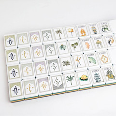 160Pcs 4-Layer Acrylic Leopard Print White Lotus Engraved American Mahjong Set