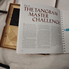 Tangram Master Ultimate Wooden Puzzle Challenge Sterling, 4 sets wood tabs &tray