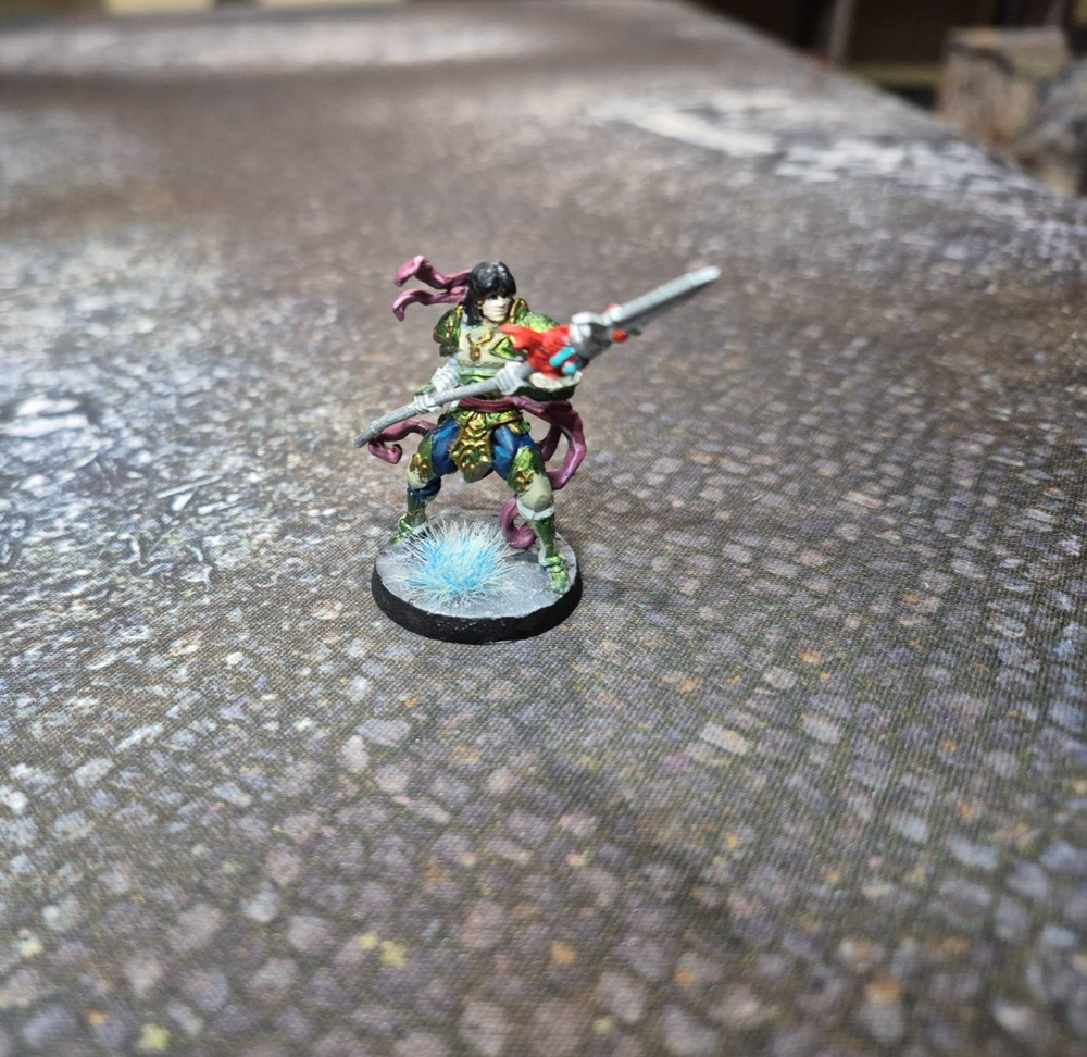 Cmon Games ZOMBICIDE WHITE DEATH Zhao Yun painted with Card DDP PAID!!