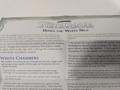 Fantasy Flight Netrunner Kitara Cycle Data Pack Down the White Nile Loose Insert
