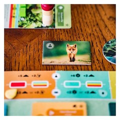 Inside Up Games Game Of The Year Building Card Drafting Action Amazing Natural