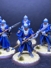 28mm /32mm Sultan’s Guard miniatures Lot — Painted And Based —pathfinder D&D