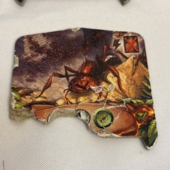 Czech Games Edition Lost Ruins of Arnak Board Game 2-Player 12+ (2021)