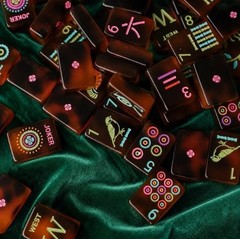 Tortoise Amber Luck Ladybug Engraved Acrylic American Mahjong Tiles Set FREESHIP
