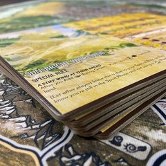 Greater Than Games | Horizons of Spirit Island: Punchboard Panels |…