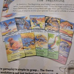 Evolution The Beginning Board Game North Star Games Dinosaurs STEM
