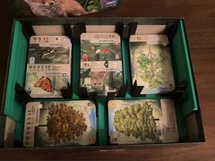Forest Shuffle Board Game Insert Compatible with All Expansions