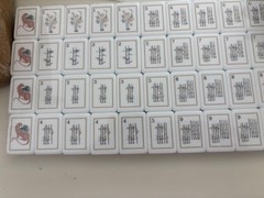 Exquisite – American MahJongg Tile Set – White Lotus Tiles – Peach Back