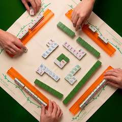 Maison Lude Limited Edition 160-Piece Mahjong Set Wildlife Design w/ Carry Bag