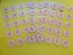Pogs ANIMANIACS * Set 60 * 1995 Sheets included * Nice Set *Official * Silver
