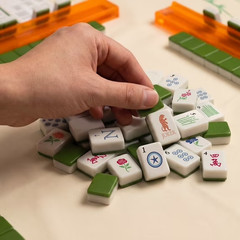 Maison Lude Limited Edition 160-Piece Mahjong Set Wildlife Design w/ Carry Bag