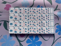 American Mahjong Game Set, 160 Garden/ engraved Bee Layered Mah Jong Tiles