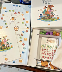 Tokaido Duo Board Game Complete Funforge Strategy Game Excellent Condition
