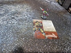 Cmon Games ZOMBICIDE WHITE DEATH Zhao Yun painted with Card DDP PAID!!