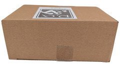 Petersen Games Evil High Priest Cultic Set 2 EHP5 Miniatures Box Set