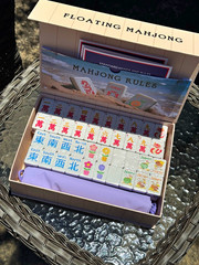 Floating Mahjongg Travel Size Tile Game Set w/ Rules Booklet, 4+ Players