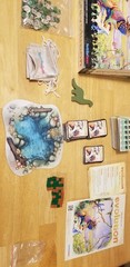 EVOLUTION Board Game 2015 PLUS FLIGHT EXPANSION NORTHSTAR