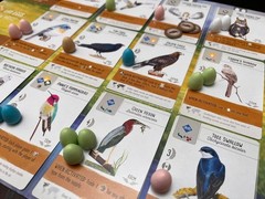 Wingspan Base Game by Elizabeth Hargrave | A Relaxing, Strategy Board Game A…
