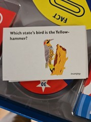 Great States Kids Board Game 400 Questions US Geography 10th Anniversary Edition