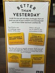 Better Than Yesterday 365 Daily Challenges Life-Fulfilling Game