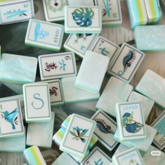 American Mahjong Game Set, 160 sea shells Layered Mah Jong Tiles,Fast ship
