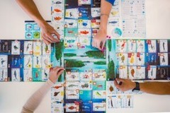 Stonemaier Games Finspan: A Wingspan Game STM 870