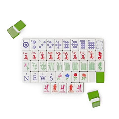 Maison Lude Limited Edition 160-Piece Mahjong Set Wildlife Design w/ Carry Bag