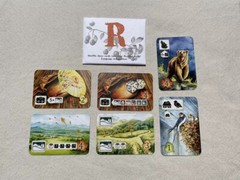 MEADOW Cards & Sleeves Pack – R Promo Pack – 300 Sleeves – NEW/RARE