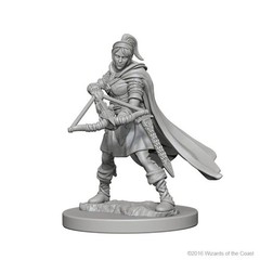 WizKids WZK72636 Accessories