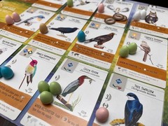 Wingspan Base Game by Elizabeth Hargrave | A Relaxing, Strategy Board Game A…