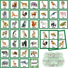 82 Pcs Memory Matching Games Animals Matching Cards Wild Animals Memory Game Jun