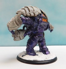 1X Well Painted FFP Shadows Of Brimstone Guardian of Targa XL Sized enemy pack