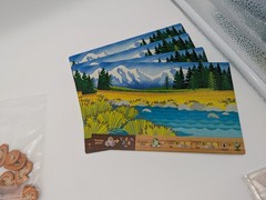 Cascadia Junior Board Game For Kids & Families – 100% Complete