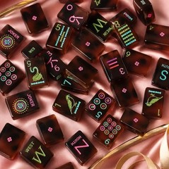 Tortoise Amber Luck Ladybug Engraved Acrylic American Mahjong Tiles Set FREESHIP