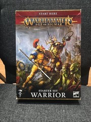 Games Workshop Age of Sigmar: Warrior Box Set