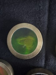6 Hologram Brass Slammers With Images, 1990’s Games