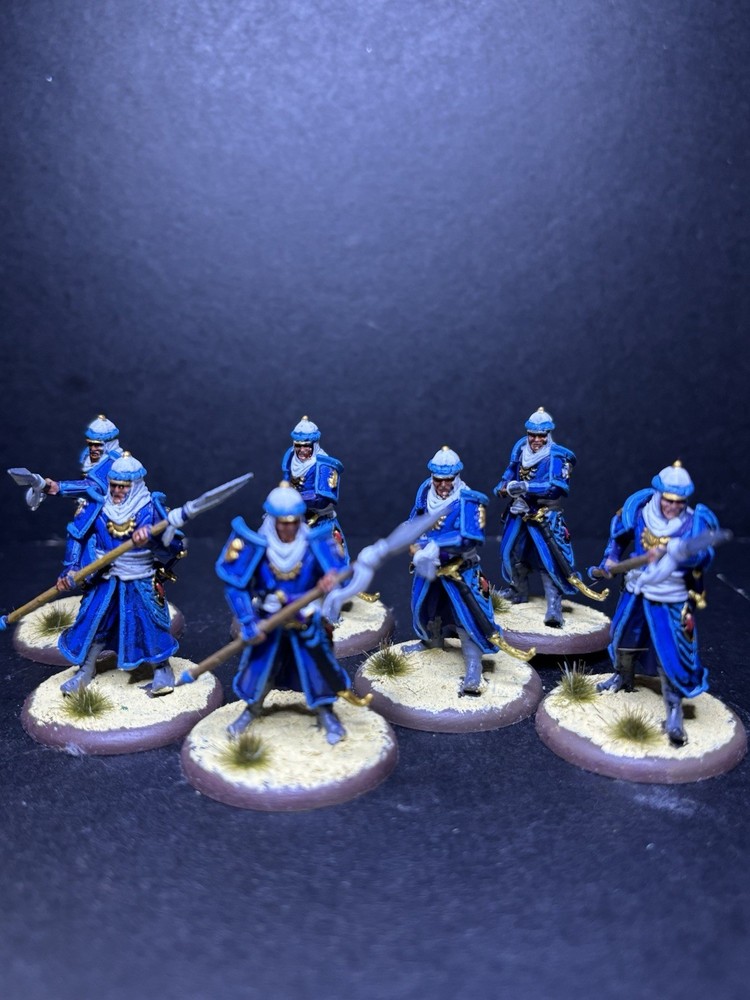 28mm /32mm Sultan’s Guard miniatures Lot — Painted And Based —pathfinder D&D