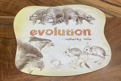 EVOLUTION – North Star Games 2014 Survival Strategy Game 1st Edition – COMPLETE